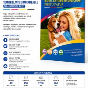 WhatsApp Image 2026-07-31 at 17.03.05 (1)