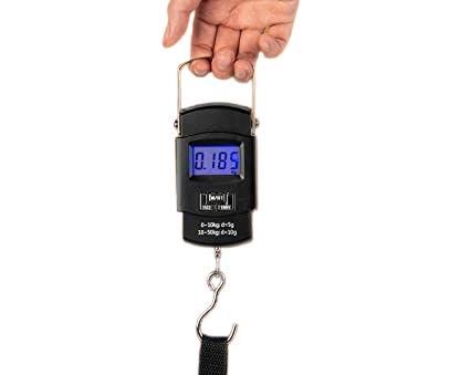 Balanza Digital WH-A08